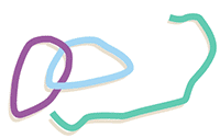 Loops