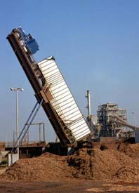 Biomass fuel
