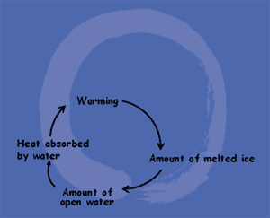 Feedback loop