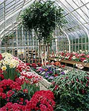 Greenhouse