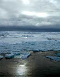 Ice floes