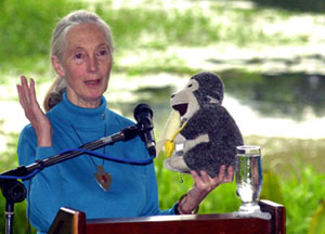 Jane Goodall