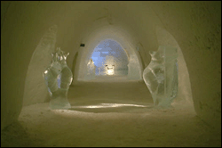 Inside Icehotel