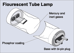 Compact fluorescent bulb 