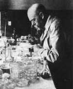 Robert Koch