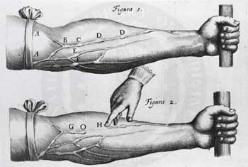 circulation of blood