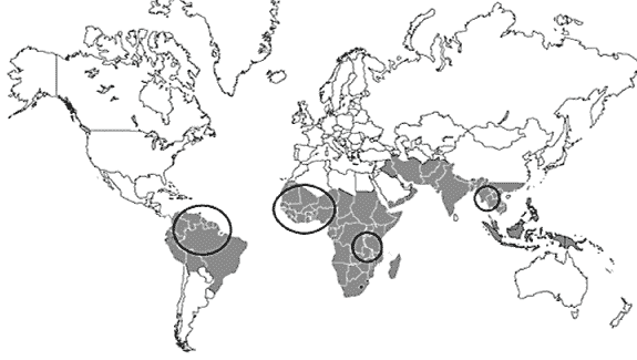 map_resistance