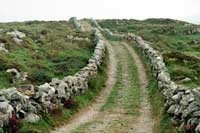 Ancient road