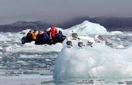 Getting close to Arctic birds