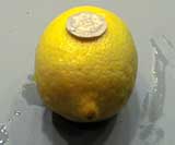 Lemon on table