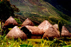 Dani village