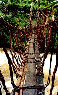 Suspended bridge