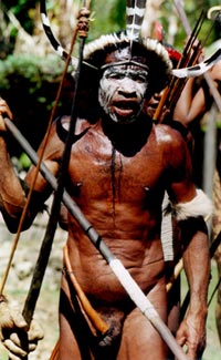 Dani Warrior