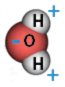 A water molecule